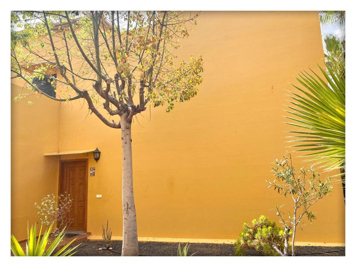 Tamarindo Pura Vida - Relax Y Vistas Al Mar Apartment Corralejo Ngoại thất bức ảnh